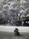 IMG_0575b