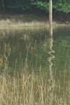 Image0004b