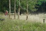 Image0010