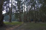 Image0032