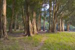 Image0034b