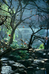 image0025