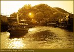 IR-Tai O_250s