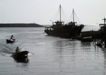 IR-Tai O_261