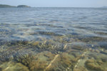 image0014