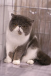 image0001
