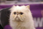 image0002
