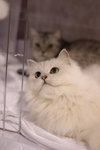 image0003