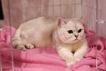 image0006