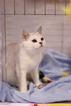 image0007