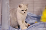 image0008