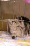 image0009