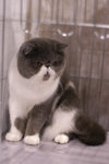 image0014