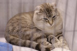 image0015