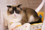 image0019