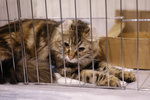image0023
