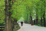 haihuo52