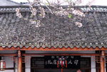 haihuo54