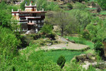 danba202
