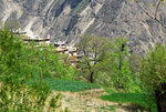 danba206