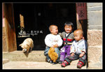 Shangrila 207