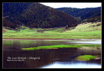 Shangrila 43