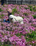 Img4591