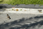image0002