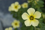 image0003