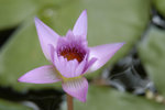 image0005