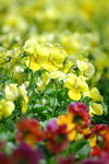 image0001