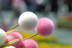 image0008