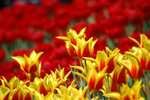 image0010