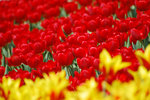 image0011