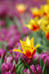image0015