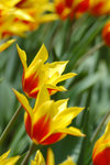 image0017