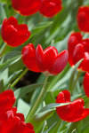 image0019