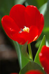 image0021