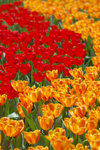 image0022