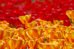 image0023