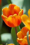 image0028