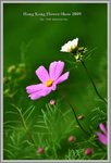 flower4