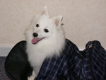 DSCN1068