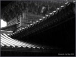 IMG_5189b