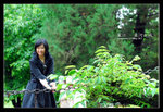 Shangrila 05