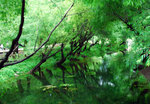 Shangrila 16