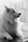 DSC_0092