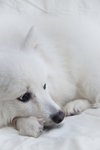Marshhome_058