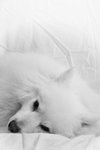 Marshhome_064b