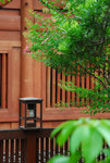 D200 chilin_1
